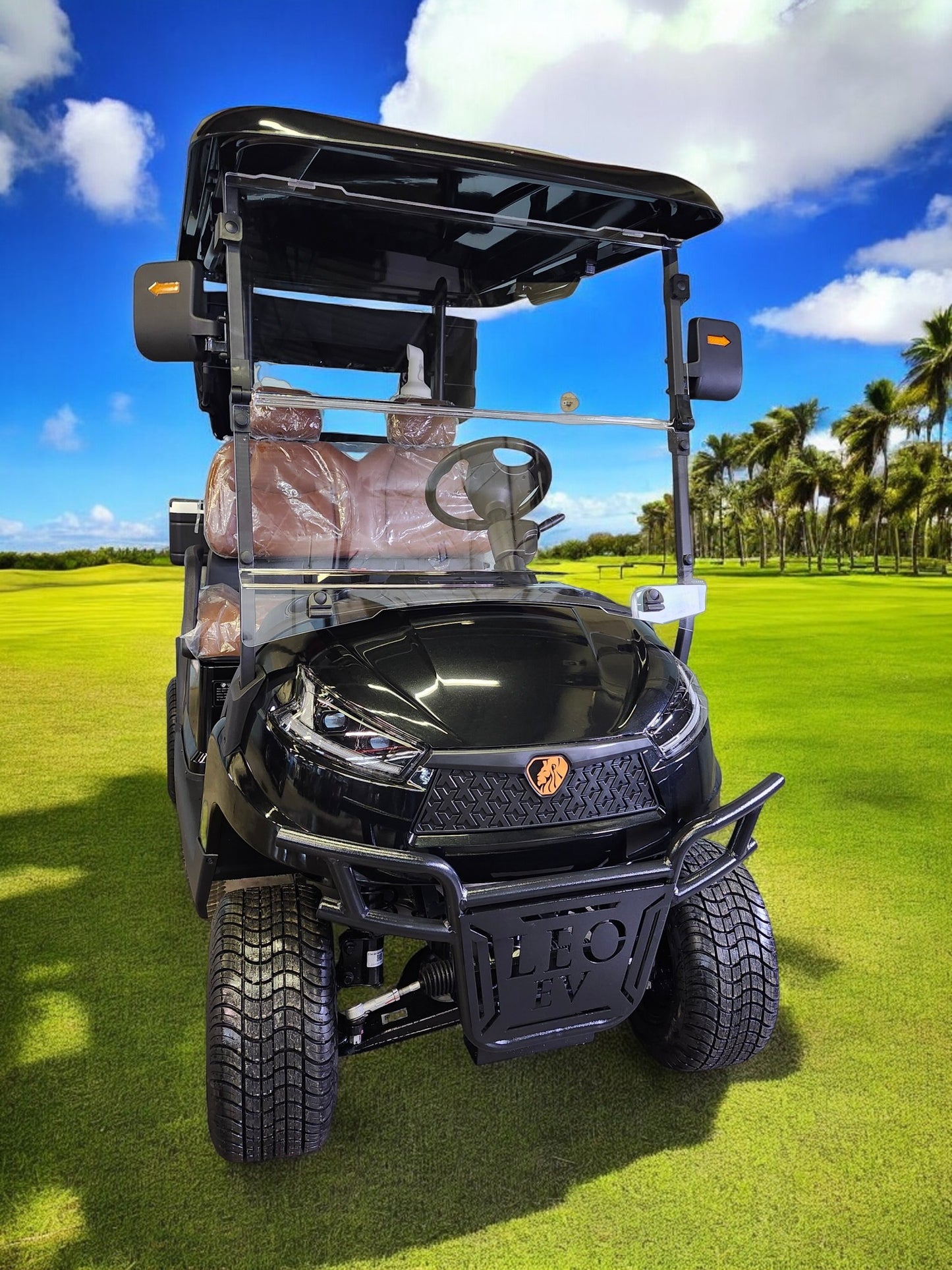 LEO EV Edition Golf Luxury