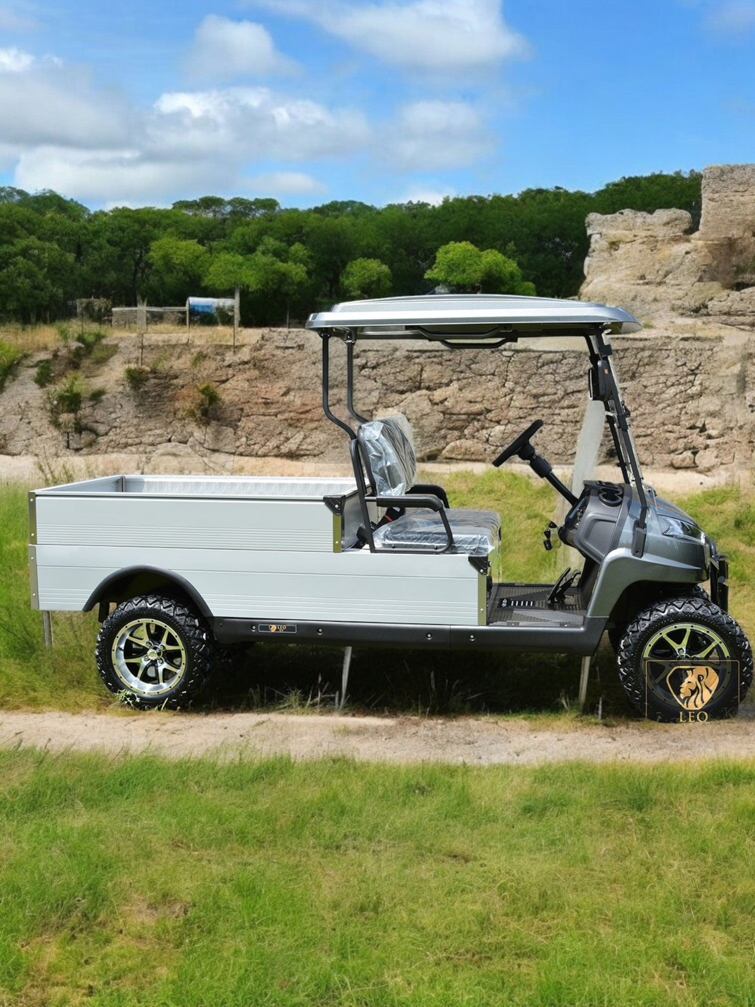 LEO EV CARGO 0.5 ton